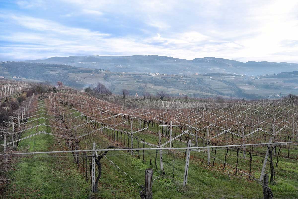 Tre Capitelli - Valpolicella