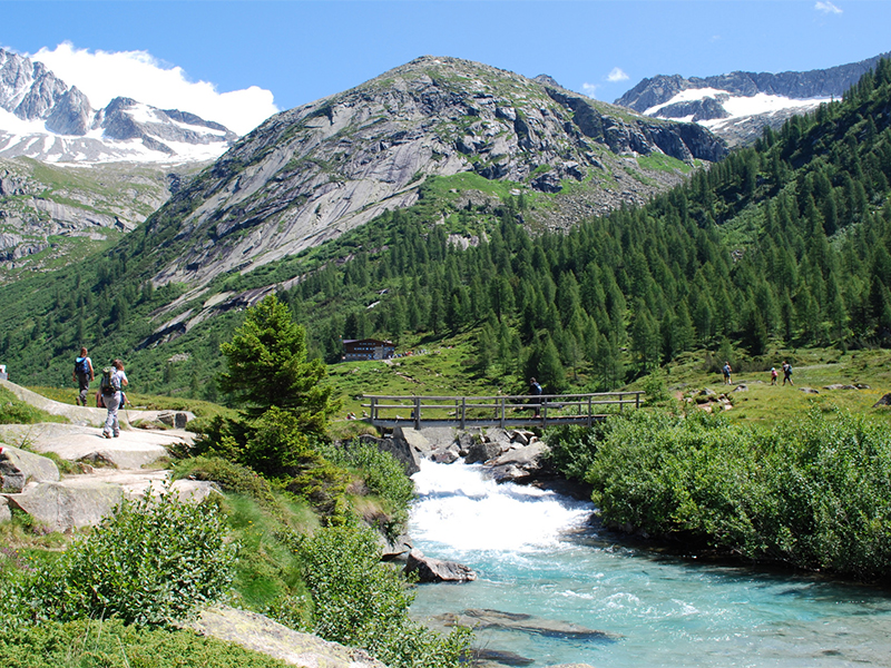 Passeggiate alpine