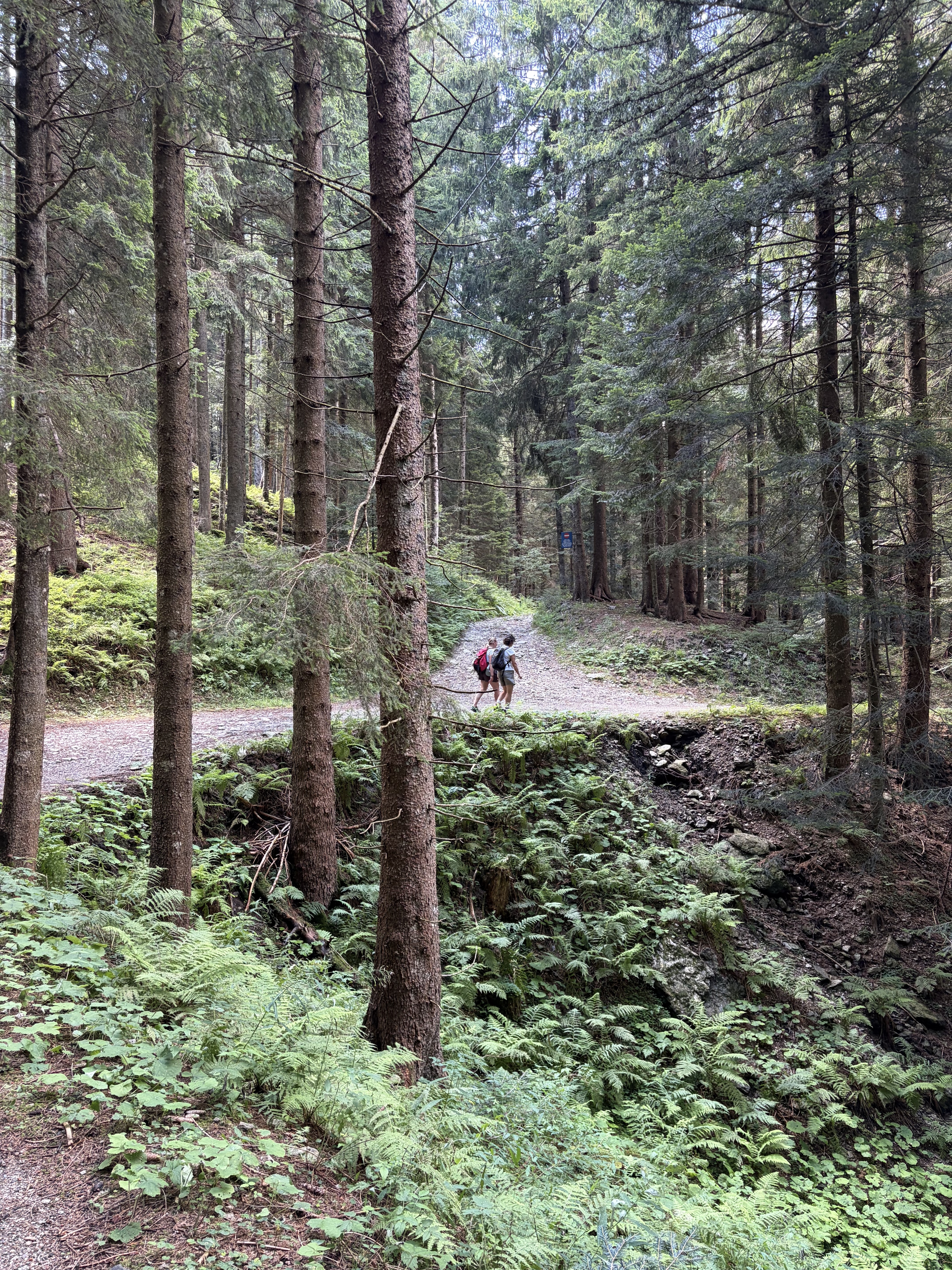Campel1
